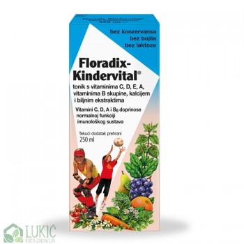 Floradix Kindervital tonik za decu 250ml Floradix Kindervital tonik za decu 250ml